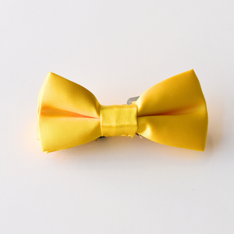 Satin Bowtie