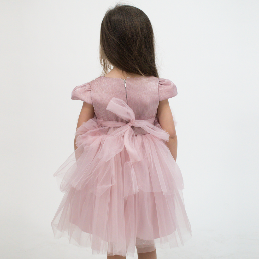 Special Sonia Baby Formal Dress